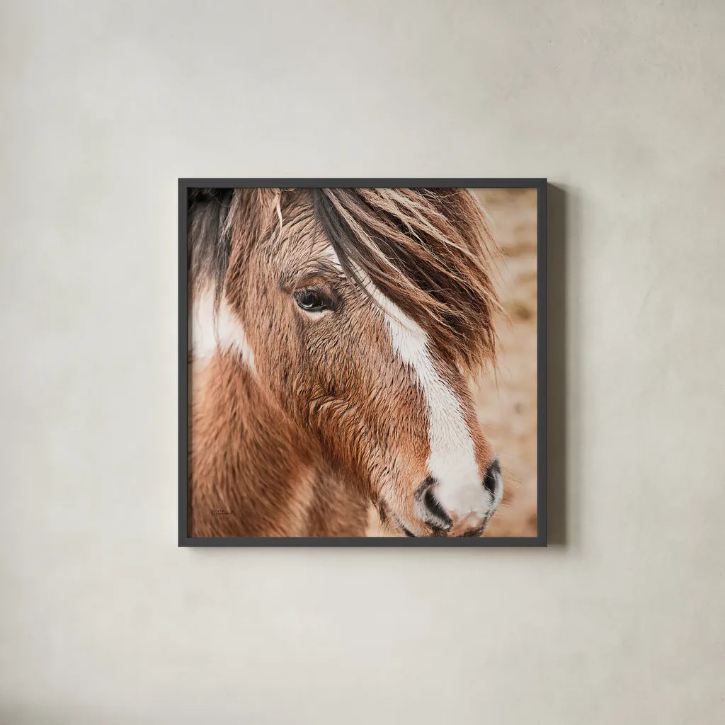 Elska III by Laura Marshall. Shown in a sleek black glass frame for a contemporary gallery look. Available as an archival giclee rolled canvas, fine art paper, or poster print. SKU 49818a.