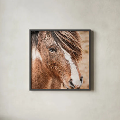 Elska III by Laura Marshall. Shown in a sleek black glass frame for a contemporary gallery look. Available as an archival giclee rolled canvas, fine art paper, or poster print. SKU 49818a.