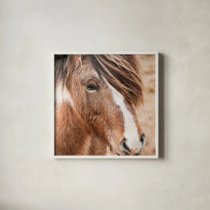 Elska III by Laura Marshall. Shown in a crisp white glass frame for a clean and minimalist style. Available as an archival giclee rolled canvas, fine art paper, or poster print. SKU 49818a.