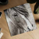 Elska III BW by Laura Marshall. Shown as a detailed flat fine art print, highlighting archival giclee quality. Available as an archival giclee rolled canvas, fine art paper, or poster print. SKU 49819a.