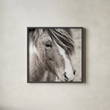 Elska III BW by Laura Marshall. Shown in a sleek black glass frame for a contemporary gallery look. Available as an archival giclee rolled canvas, fine art paper, or poster print. SKU 49819a.