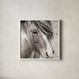 Elska III BW by Laura Marshall. Shown in a crisp white glass frame for a clean and minimalist style. Available as an archival giclee rolled canvas, fine art paper, or poster print. SKU 49819a.