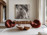 Elska III BW by Laura Marshall. Shown as extra-large giant wall art in a modern living room. Available as an archival giclee rolled canvas, fine art paper, or poster print. SKU 49819a.