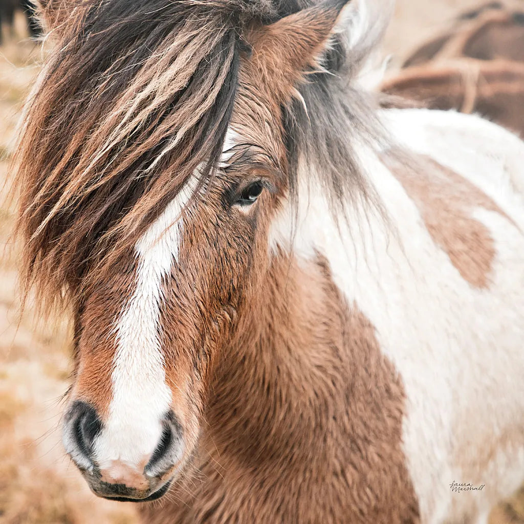 Elska IV by Laura Marshall. SKU 49820a. Archival Giclee Fine art print for wall decor.