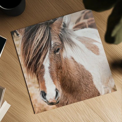 Elska IV by Laura Marshall. Shown as a detailed flat fine art print, highlighting archival giclee quality. Available as an archival giclee rolled canvas, fine art paper, or poster print. SKU 49820a.