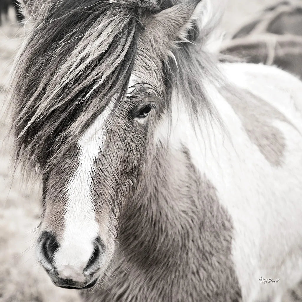 Elska IV BW by Laura Marshall. SKU 49821a. Archival Giclee Fine art print for wall decor.