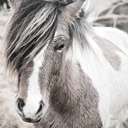 Elska IV BW by Laura Marshall. SKU 49821a. Archival Giclee Fine art print for wall decor.