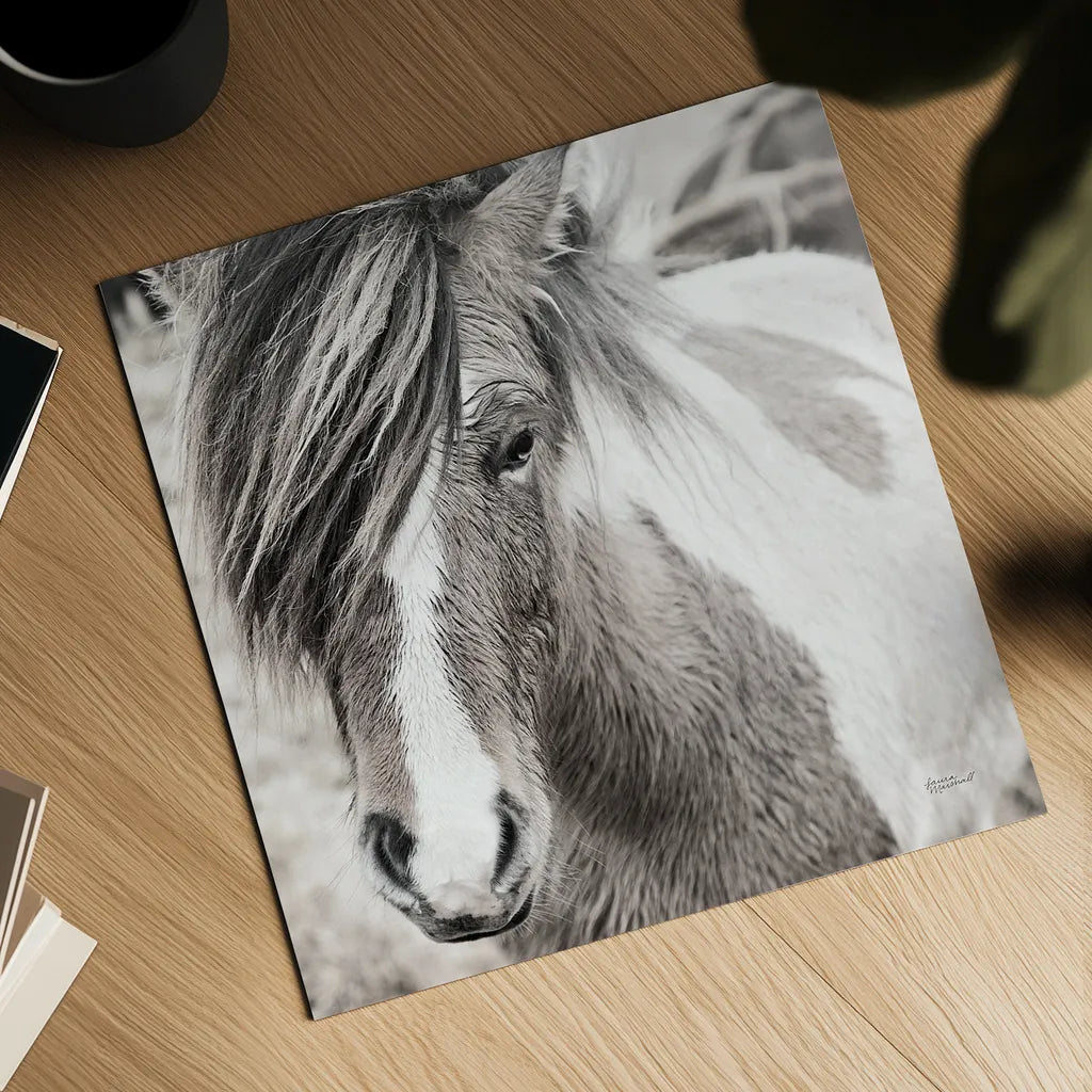 Elska IV BW by Laura Marshall. Shown as a detailed flat fine art print, highlighting archival giclee quality. Available as an archival giclee rolled canvas, fine art paper, or poster print. SKU 49821a.