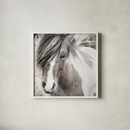 Elska IV BW by Laura Marshall. Shown in a crisp white glass frame for a clean and minimalist style. Available as an archival giclee rolled canvas, fine art paper, or poster print. SKU 49821a.