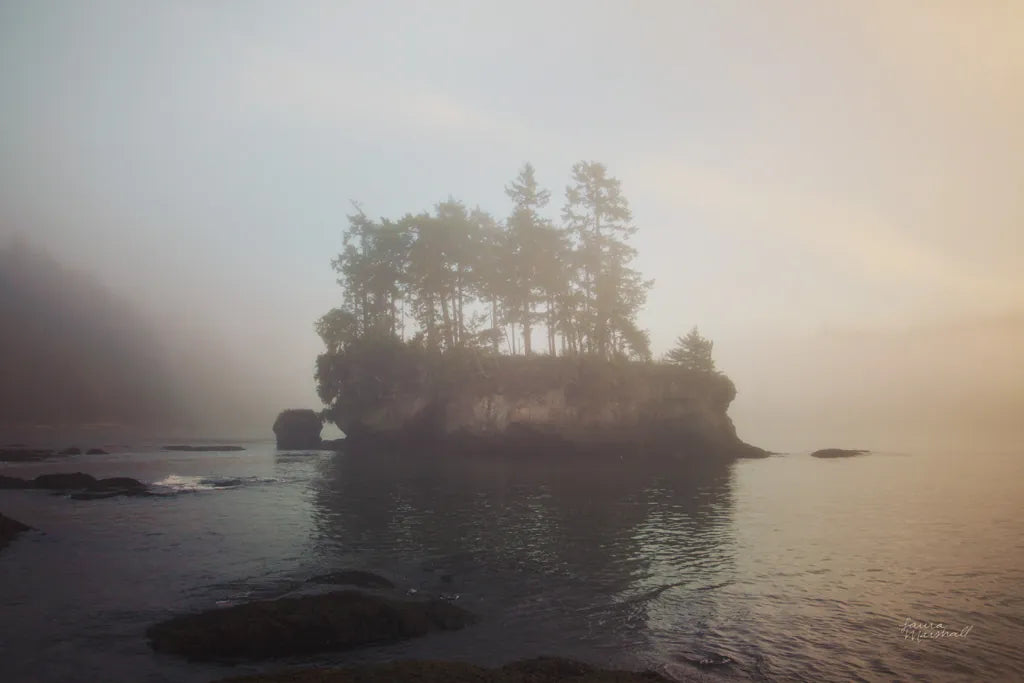 First Light by Laura Marshall. SKU 42969i. Archival Giclee Fine art print for wall decor.