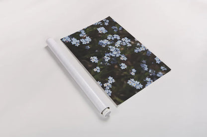 Forget Me Nots I by Laura Marshall. shown as a rolled paper print. Available as archival giclee rolled canvas, fine art paper, or poster print. SKU 63259i.