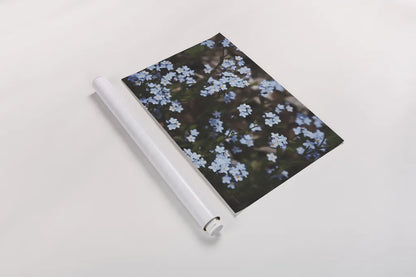 Forget Me Nots II by Laura Marshall. shown as a rolled paper print. Available as archival giclee rolled canvas, fine art paper, or poster print. SKU 63260i.