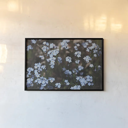Forget Me Nots II by Laura Marshall. shown as a paper print in a black flame. Available as a archival giclee rolled canvas, fine art paper, or poster print. SKU 63260i.