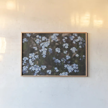 Forget Me Nots II by Laura Marshall. shown as a paper print in a natural frame. Available as a archival giclee rolled canvas, fine art paper, or poster print. SKU 63260i.