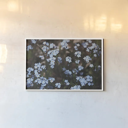 Forget Me Nots II by Laura Marshall. shown as a paper print in a white frame. Available as a archival giclee rolled canvas, fine art paper, or poster print. SKU 63260i.