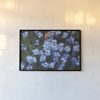Forget Me Nots III by Laura Marshall. shown as a paper print in a black flame. Available as a archival giclee rolled canvas, fine art paper, or poster print. SKU 63261i.