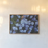 Forget Me Nots III by Laura Marshall. shown as a paper print in a natural frame. Available as a archival giclee rolled canvas, fine art paper, or poster print. SKU 63261i.