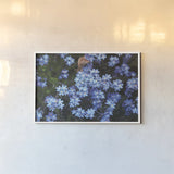 Forget Me Nots III by Laura Marshall. shown as a paper print in a white frame. Available as a archival giclee rolled canvas, fine art paper, or poster print. SKU 63261i.