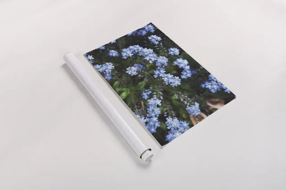 Forget Me Nots IV by Laura Marshall. shown as a rolled paper print. Available as archival giclee rolled canvas, fine art paper, or poster print. SKU 63262i.
