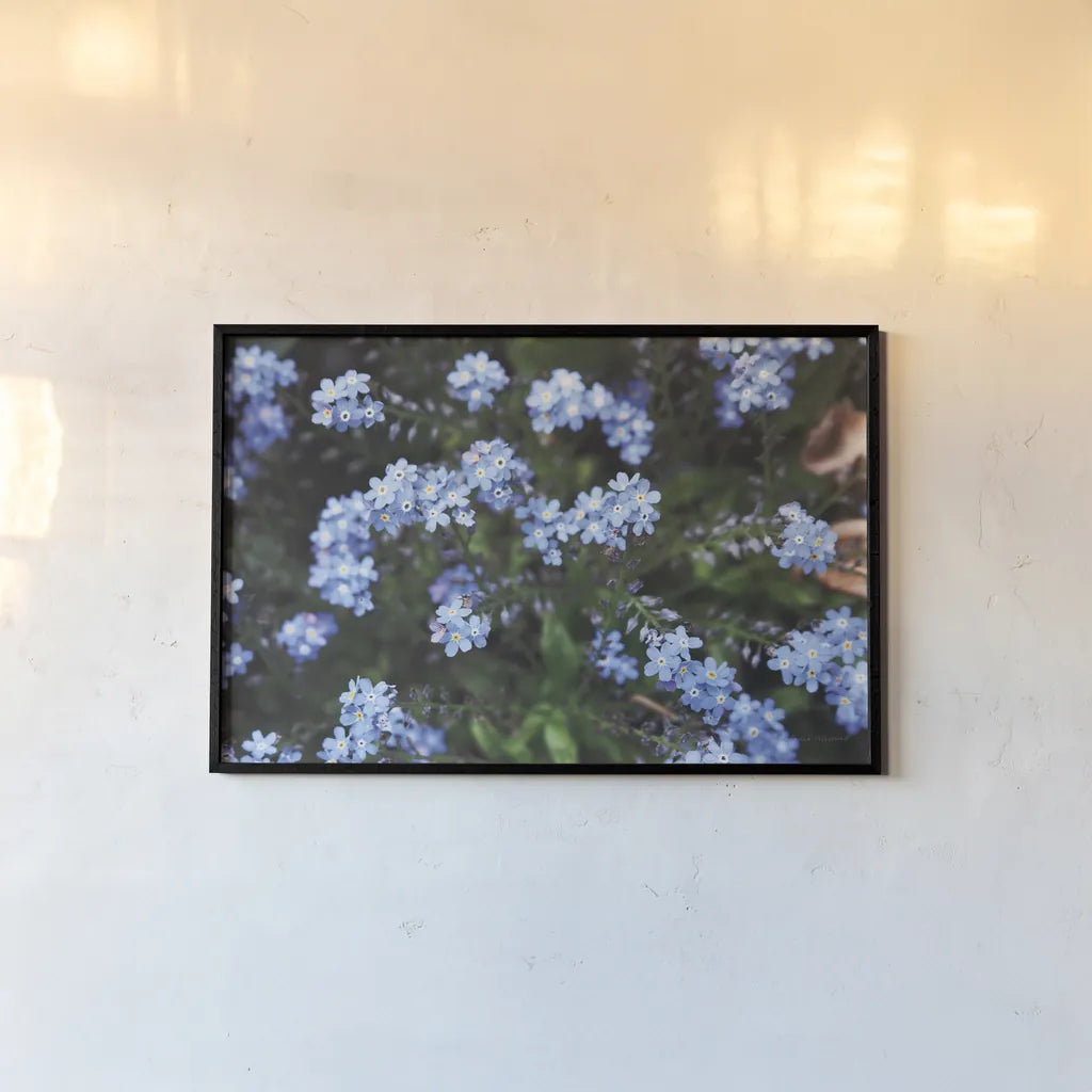 Forget Me Nots IV by Laura Marshall. shown as a paper print in a black flame. Available as a archival giclee rolled canvas, fine art paper, or poster print. SKU 63262i.