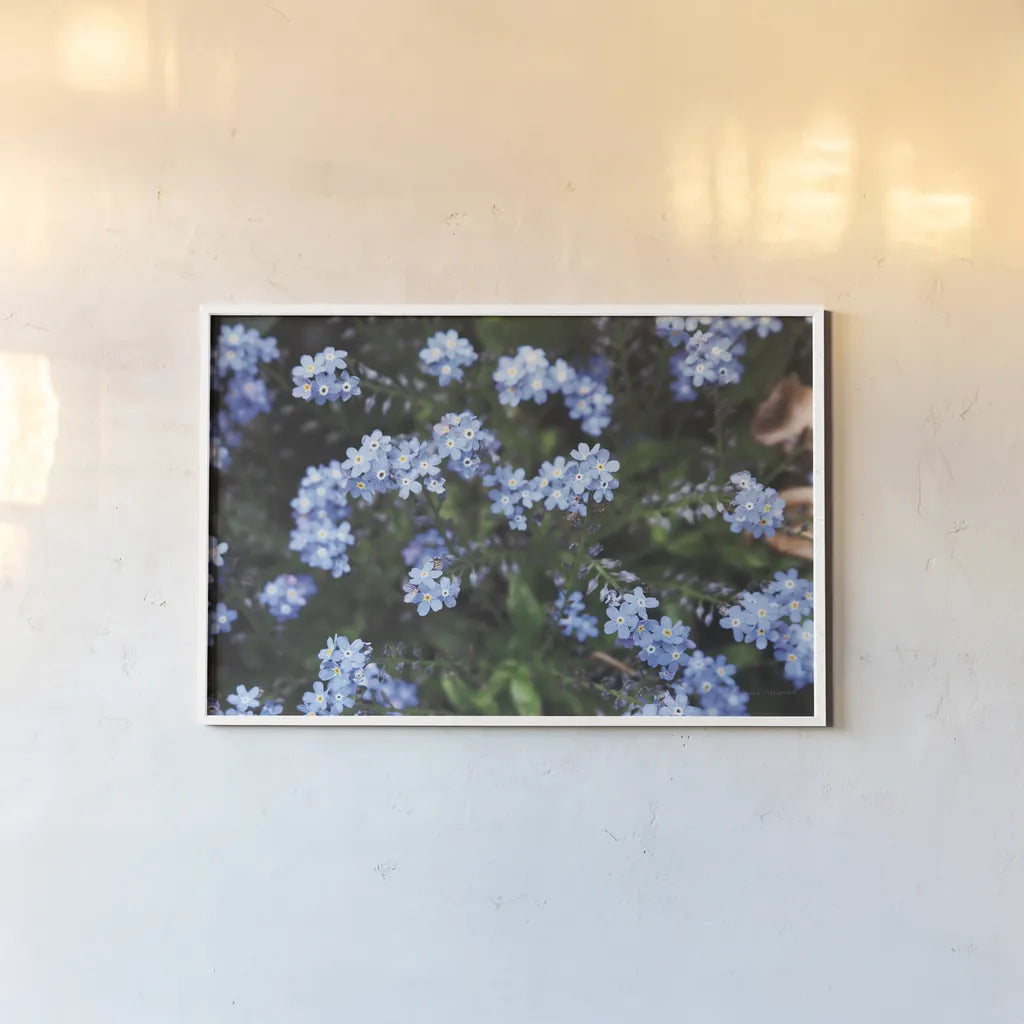 Forget Me Nots IV by Laura Marshall. shown as a paper print in a white frame. Available as a archival giclee rolled canvas, fine art paper, or poster print. SKU 63262i.