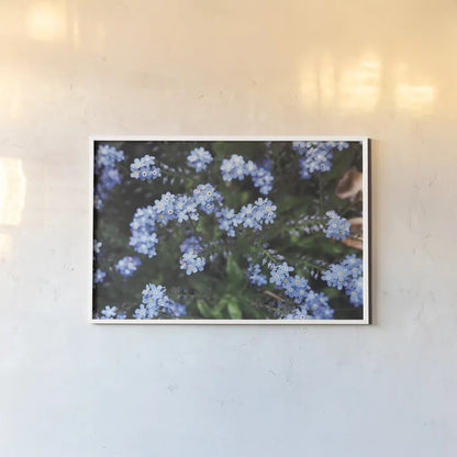 Forget Me Nots IV by Laura Marshall. shown as a paper print in a white frame. Available as a archival giclee rolled canvas, fine art paper, or poster print. SKU 63262i.