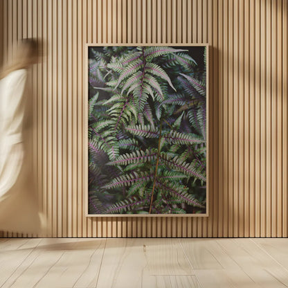 Funky Ferns I by Laura Marshall. shown as over sized large wall art. Available as an archival giclee rolled canvas, fine art paper, or poster print. SKU 39645h.