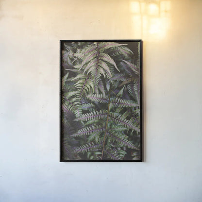 Funky Ferns I by Laura Marshall. shown as a paper print in a black flame. Available as a archival giclee rolled canvas, fine art paper, or poster print. SKU 39645h.