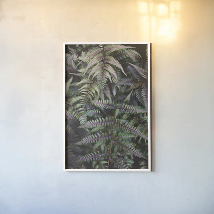 Funky Ferns I by Laura Marshall. shown as a paper print in a white frame. Available as a archival giclee rolled canvas, fine art paper, or poster print. SKU 39645h.
