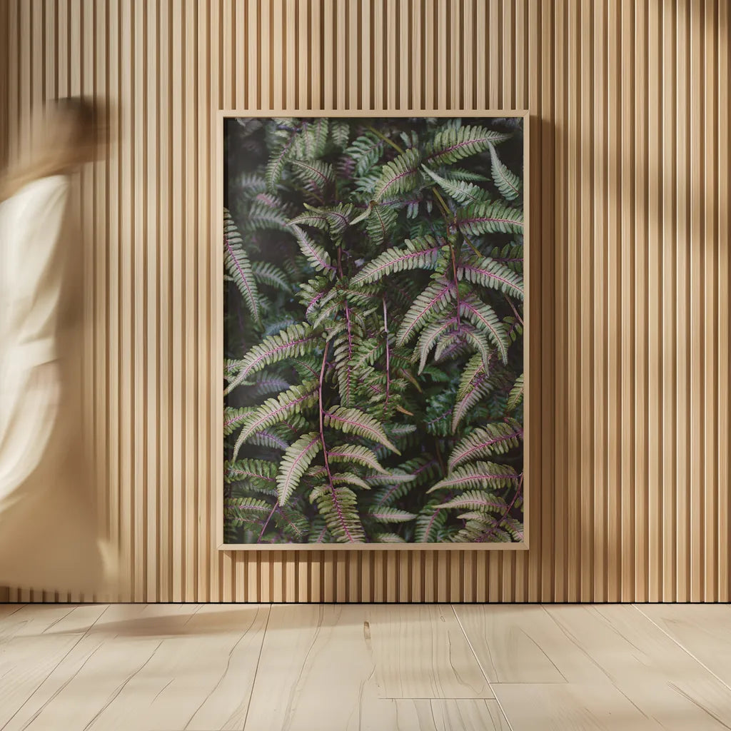 Funky Ferns II by Laura Marshall. shown as over sized large wall art. Available as an archival giclee rolled canvas, fine art paper, or poster print. SKU 39646h.