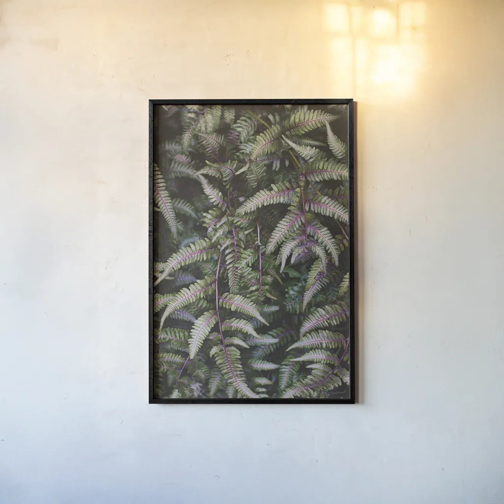 Funky Ferns II by Laura Marshall. shown as a paper print in a black flame. Available as a archival giclee rolled canvas, fine art paper, or poster print. SKU 39646h.