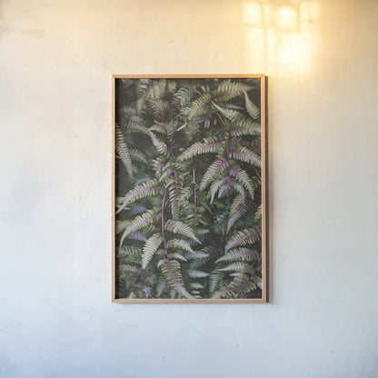 Funky Ferns II by Laura Marshall. shown as a paper print in a natural frame. Available as a archival giclee rolled canvas, fine art paper, or poster print. SKU 39646h.