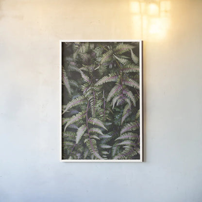 Funky Ferns II by Laura Marshall. shown as a paper print in a white frame. Available as a archival giclee rolled canvas, fine art paper, or poster print. SKU 39646h.
