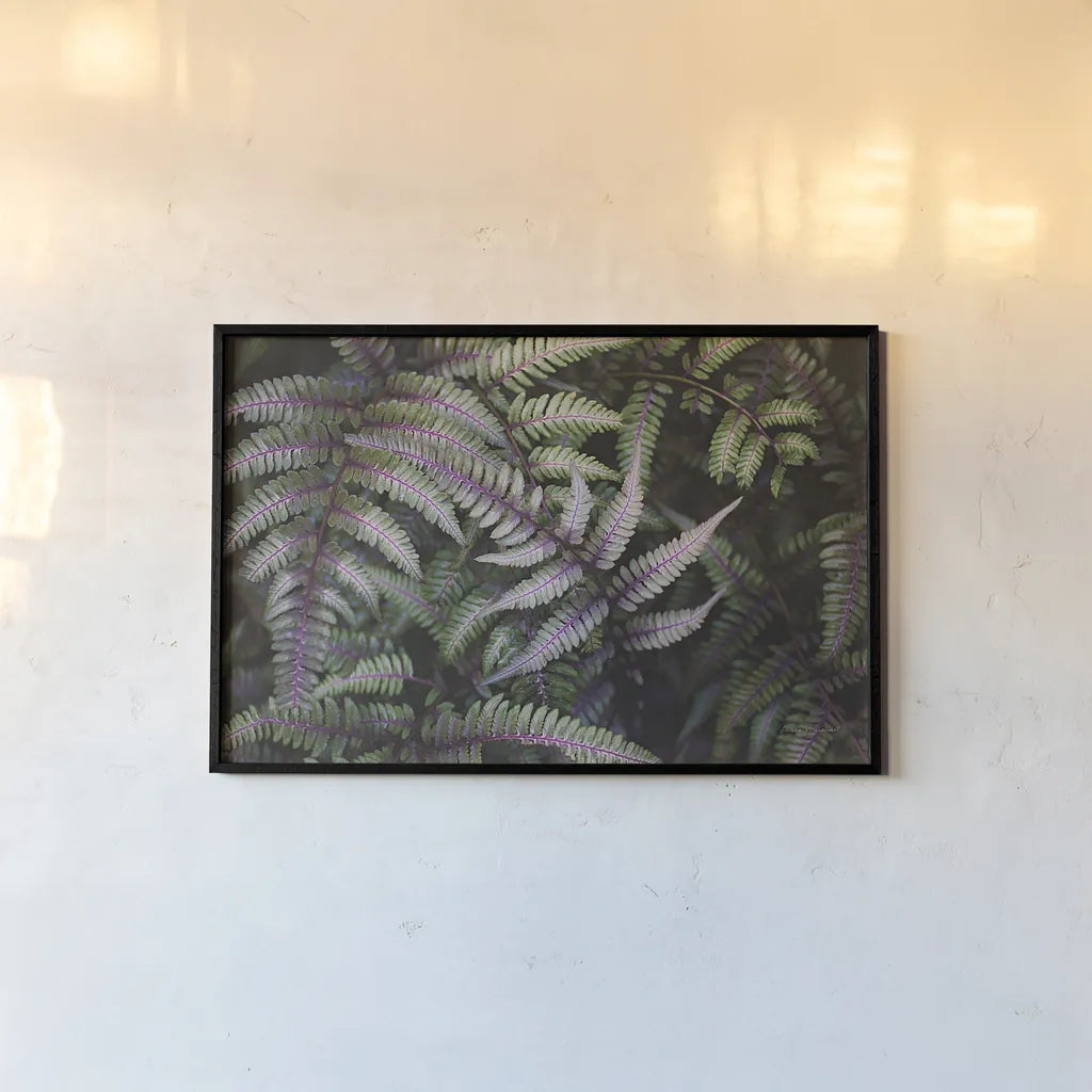 Funky Ferns III by Laura Marshall. shown as a paper print in a black flame. Available as a archival giclee rolled canvas, fine art paper, or poster print. SKU 39647i.