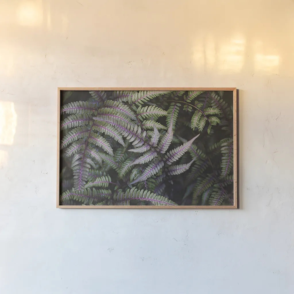 Funky Ferns III by Laura Marshall. shown as a paper print in a natural frame. Available as a archival giclee rolled canvas, fine art paper, or poster print. SKU 39647i.