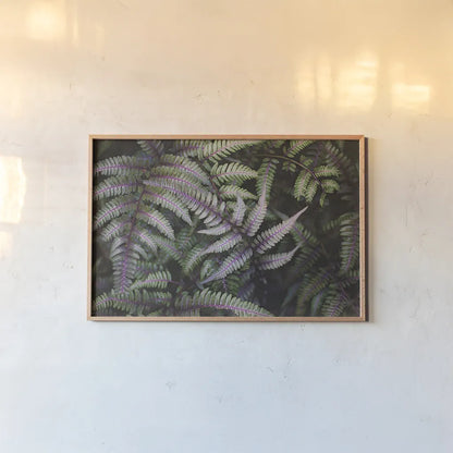 Funky Ferns III by Laura Marshall. shown as a paper print in a natural frame. Available as a archival giclee rolled canvas, fine art paper, or poster print. SKU 39647i.