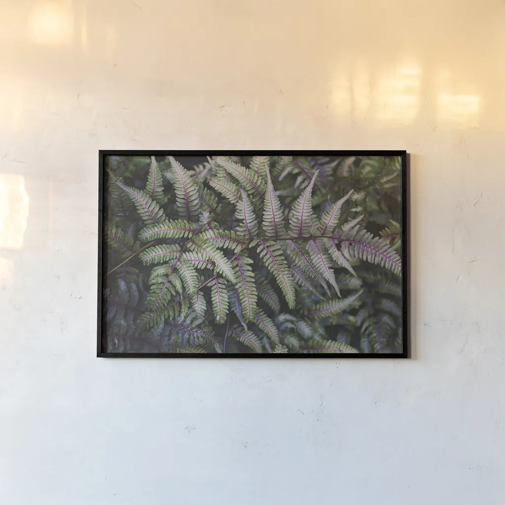 Funky Ferns IV by Laura Marshall. shown as a paper print in a black flame. Available as a archival giclee rolled canvas, fine art paper, or poster print. SKU 39648i.