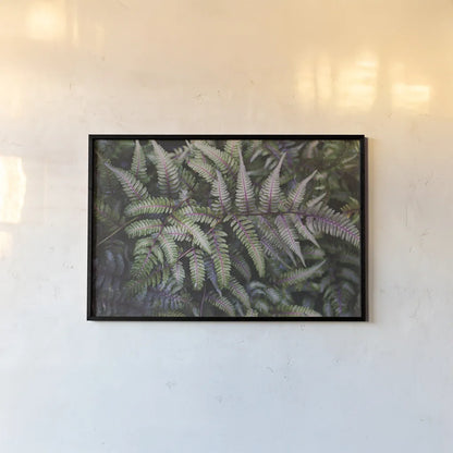 Funky Ferns IV by Laura Marshall. shown as a paper print in a black flame. Available as a archival giclee rolled canvas, fine art paper, or poster print. SKU 39648i.