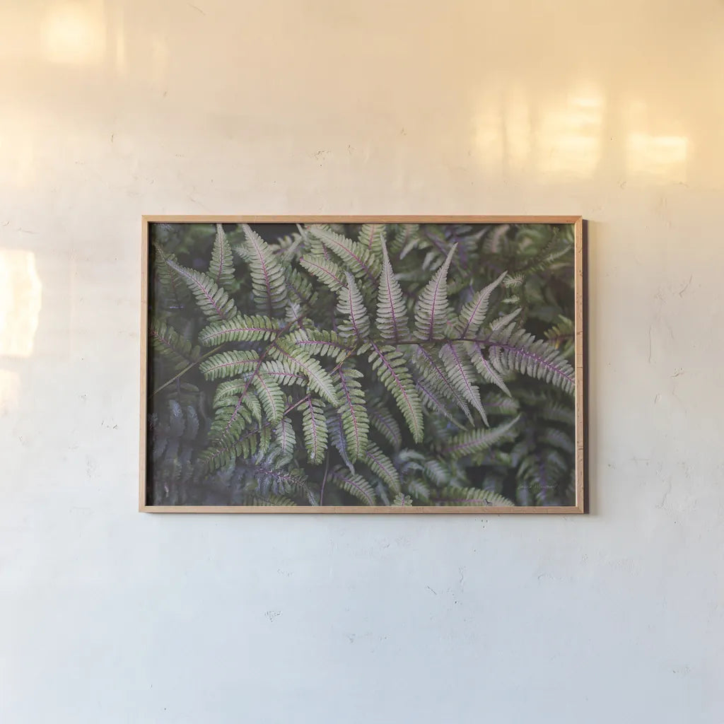 Funky Ferns IV by Laura Marshall. shown as a paper print in a natural frame. Available as a archival giclee rolled canvas, fine art paper, or poster print. SKU 39648i.