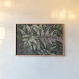 Funky Ferns IV by Laura Marshall. shown as a paper print in a natural frame. Available as a archival giclee rolled canvas, fine art paper, or poster print. SKU 39648i.