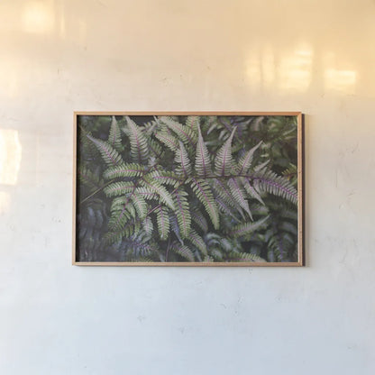 Funky Ferns IV by Laura Marshall. shown as a paper print in a natural frame. Available as a archival giclee rolled canvas, fine art paper, or poster print. SKU 39648i.