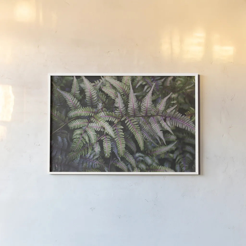 Funky Ferns IV by Laura Marshall. shown as a paper print in a white frame. Available as a archival giclee rolled canvas, fine art paper, or poster print. SKU 39648i.