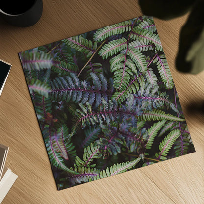 Funky Ferns V by Laura Marshall. Shown as a detailed flat fine art print, highlighting archival giclee quality. Available as an archival giclee rolled canvas, fine art paper, or poster print. SKU 39649a.