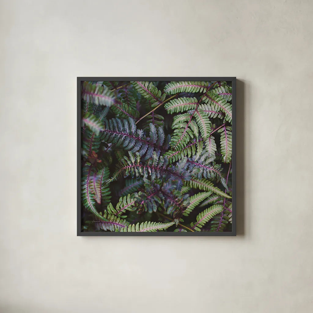 Funky Ferns V by Laura Marshall. Shown in a sleek black glass frame for a contemporary gallery look. Available as an archival giclee rolled canvas, fine art paper, or poster print. SKU 39649a.