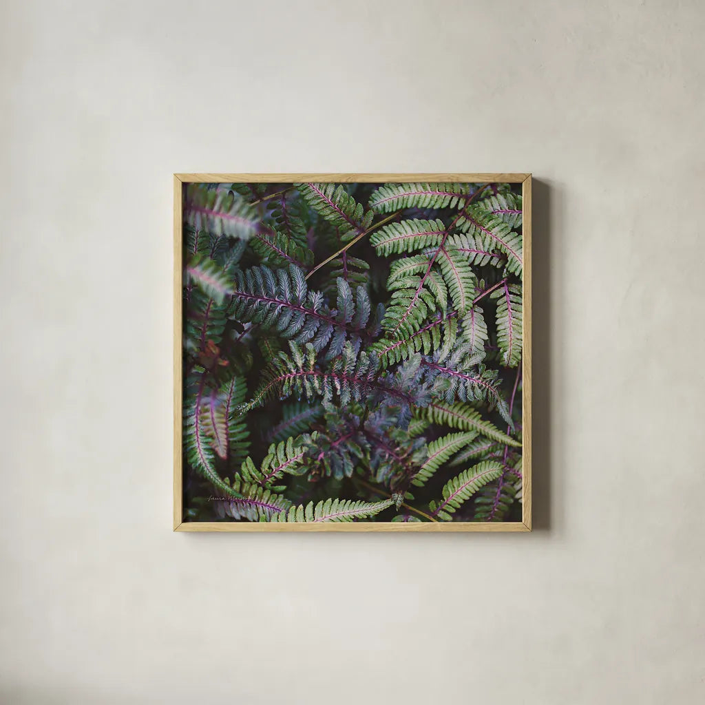 Funky Ferns V by Laura Marshall. Shown in a natural wood glass frame for a timeless modern aesthetic. Available as an archival giclee rolled canvas, fine art paper, or poster print. SKU 39649a.