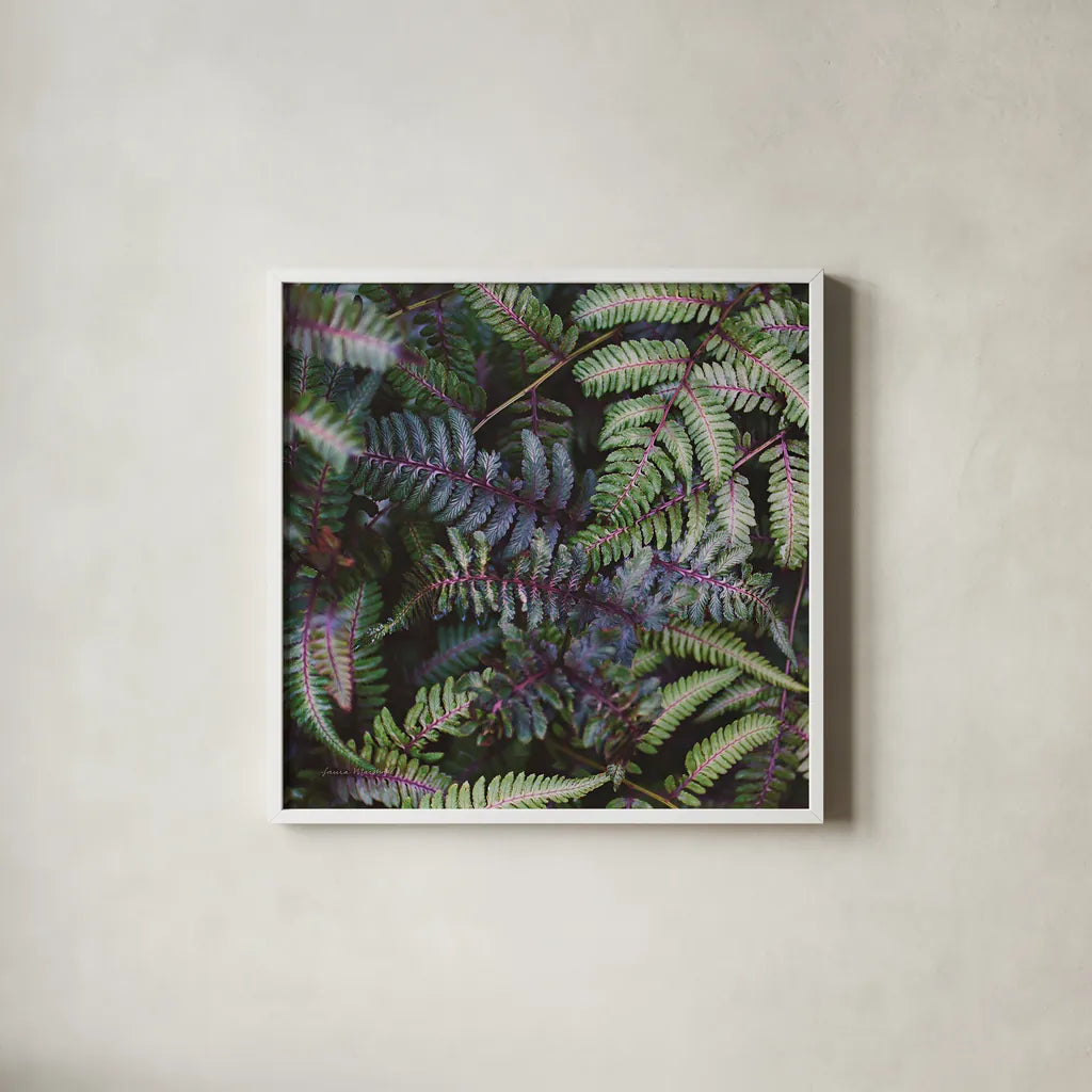 Funky Ferns V by Laura Marshall. Shown in a crisp white glass frame for a clean and minimalist style. Available as an archival giclee rolled canvas, fine art paper, or poster print. SKU 39649a.