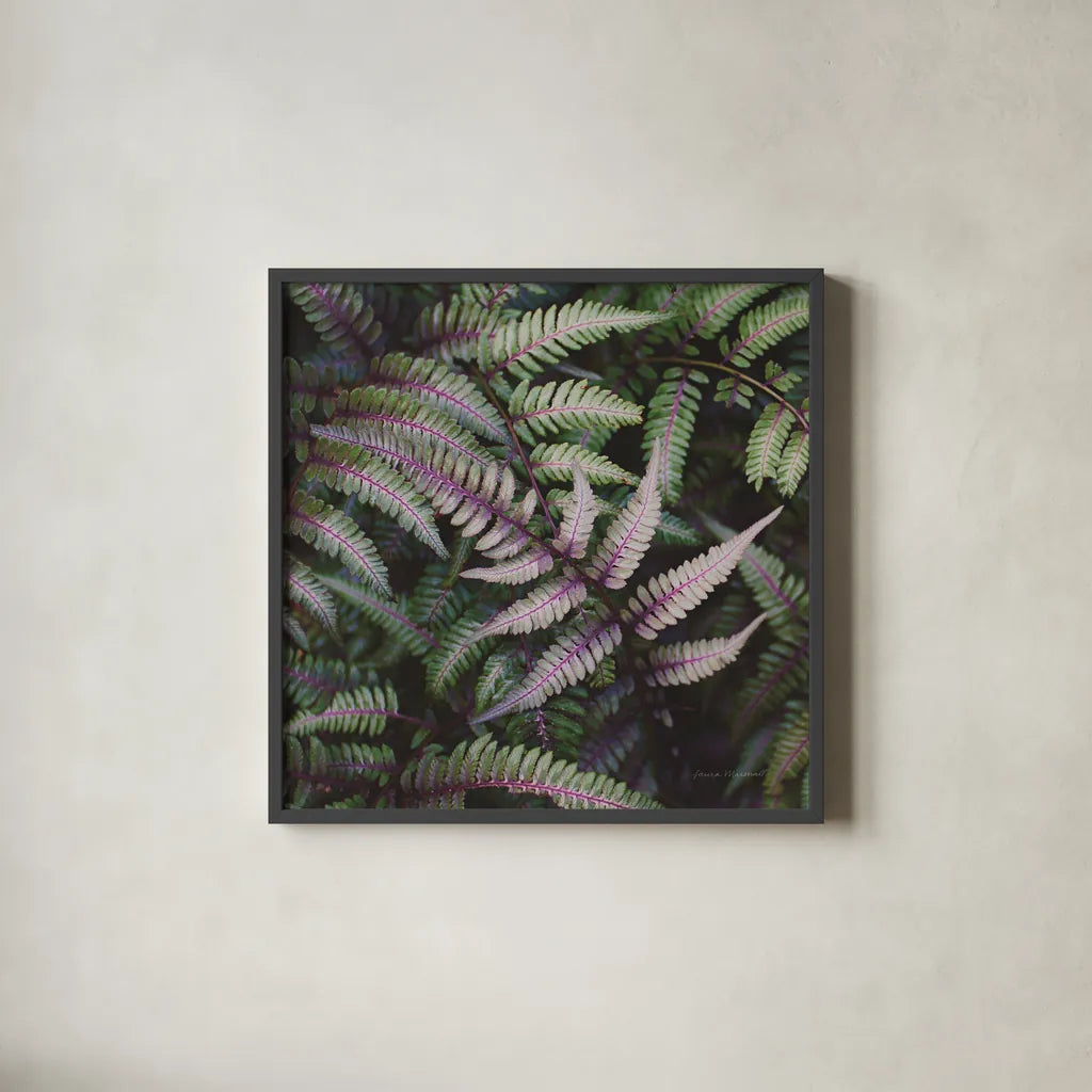 Funky Ferns VI by Laura Marshall. Shown in a sleek black glass frame for a contemporary gallery look. Available as an archival giclee rolled canvas, fine art paper, or poster print. SKU 39650a.