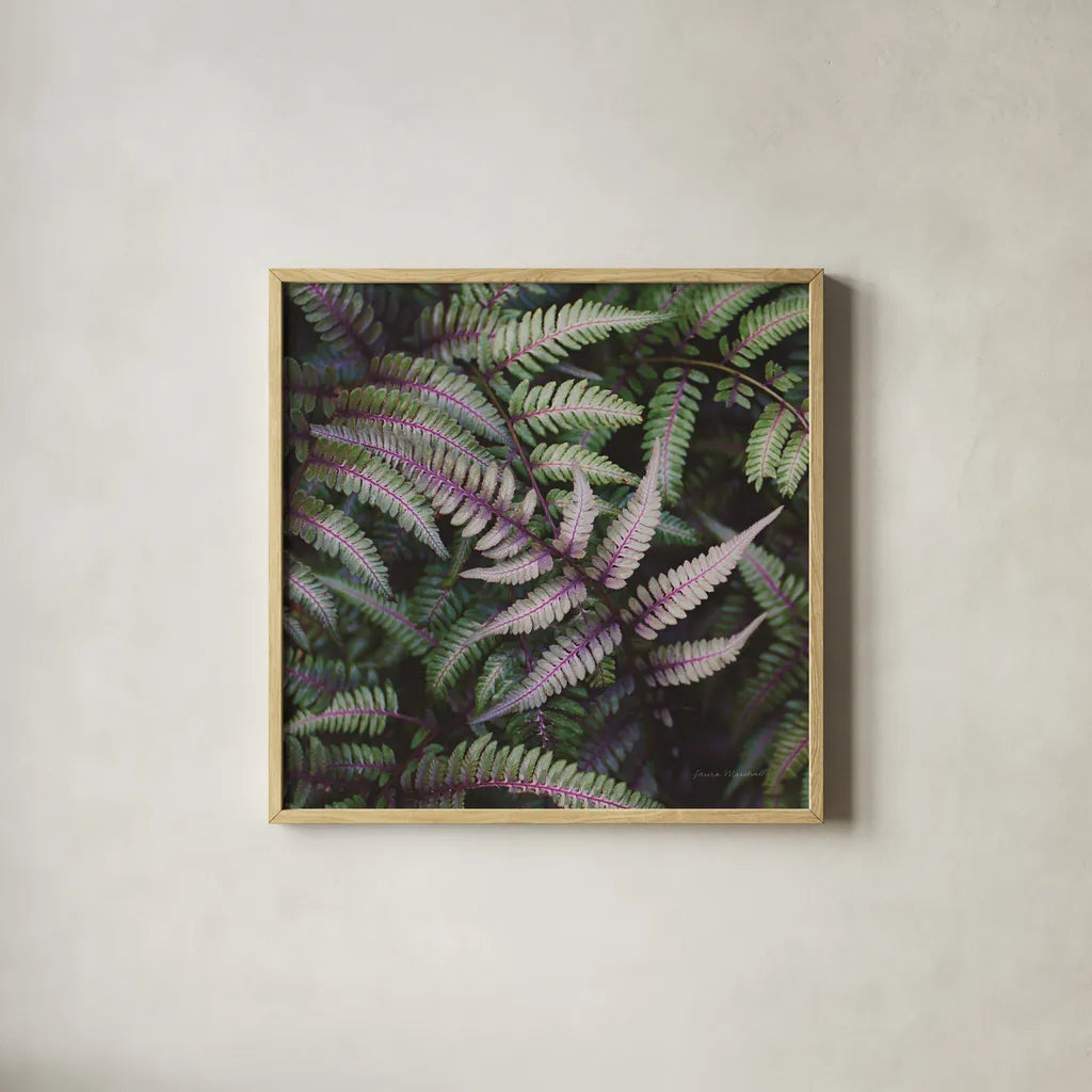 Funky Ferns VI by Laura Marshall. Shown in a natural wood glass frame for a timeless modern aesthetic. Available as an archival giclee rolled canvas, fine art paper, or poster print. SKU 39650a.