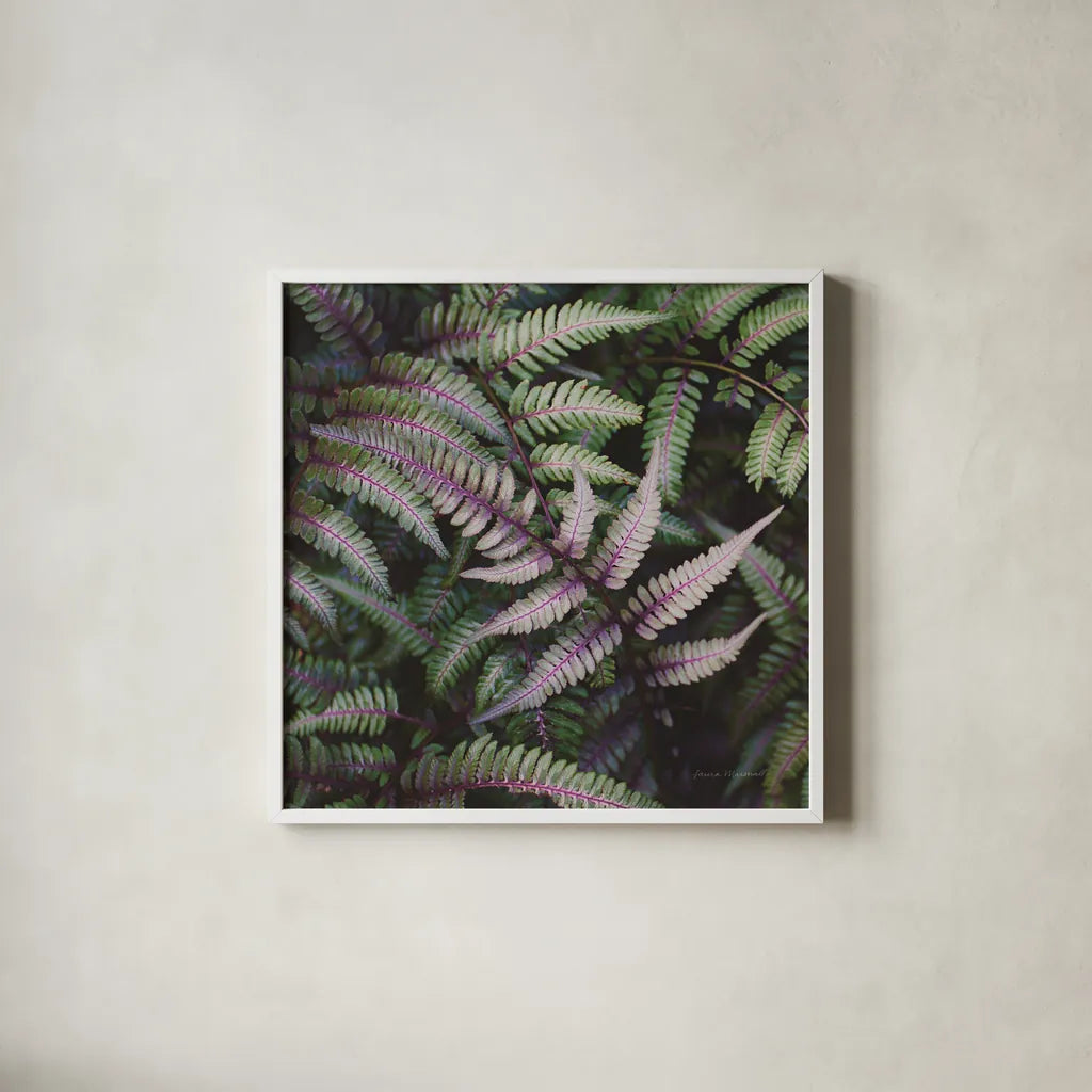 Funky Ferns VI by Laura Marshall. Shown in a crisp white glass frame for a clean and minimalist style. Available as an archival giclee rolled canvas, fine art paper, or poster print. SKU 39650a.