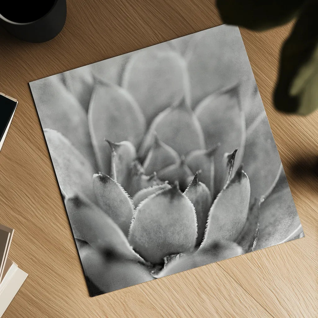 Garden Succulent I by Laura Marshall. Shown as a detailed flat fine art print, highlighting archival giclee quality. Available as an archival giclee rolled canvas, fine art paper, or poster print. SKU 20824a.